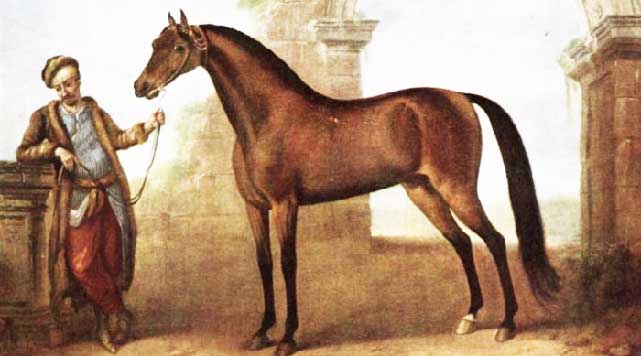 Une brève histoire du cheval arabe